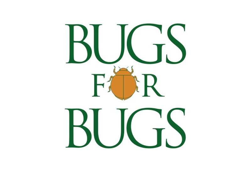 bugs for bugs